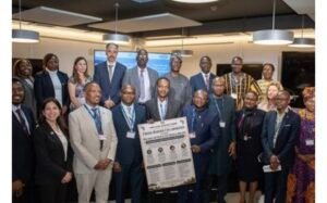 African health leaders and WHO officials discussing malaria and NTD elimination strategies