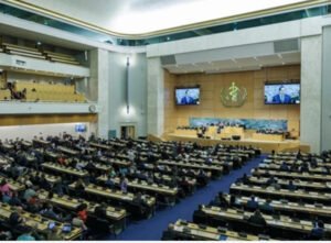 Delegates at the World Health Assembly adopting the new antimicrobial resistance strategy in Geneva