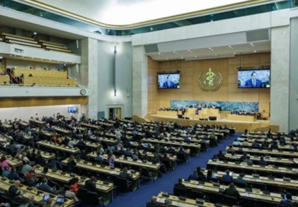 Delegates at the World Health Assembly adopting the new antimicrobial resistance strategy in Geneva
