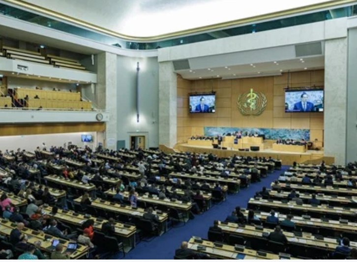 Delegates at the World Health Assembly adopting the new antimicrobial resistance strategy in Geneva