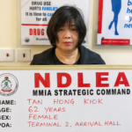 NDLEA Arrests Chinese Woman Over 31kg Cannabis