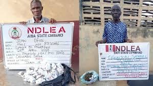NDLEA Arrests Elderly Suspects, Seizes Drugs Nationwide