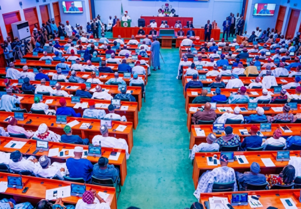 Nigerian Senate reacting to rising school abductions and insecurity