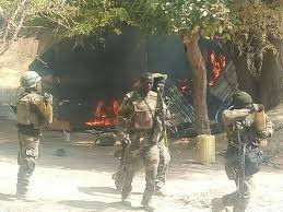 Nigerian soldiers during counterinsurgency operation in Borno State