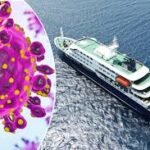 Rare Hantavirus Strain Confirmed in South Africa After Cruise Deaths