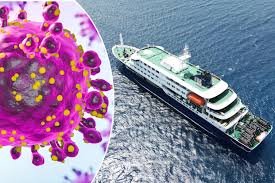 Rare Hantavirus Strain Confirmed in South Africa After Cruise Deaths