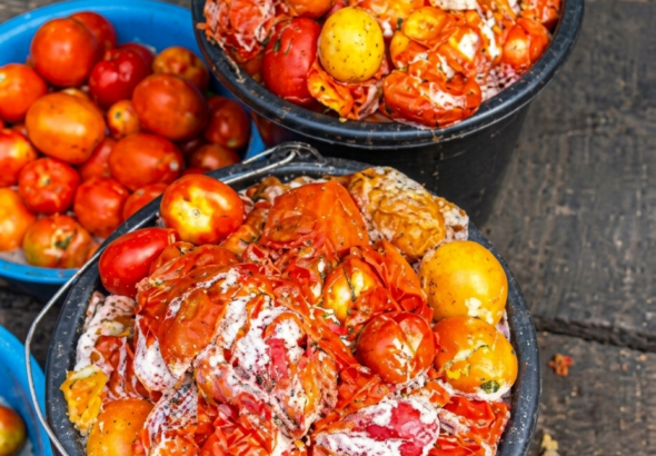 Spoiled fungus-infested tomatoes displayed in a Lagos market