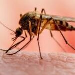 plateau-malaria-prevention-children