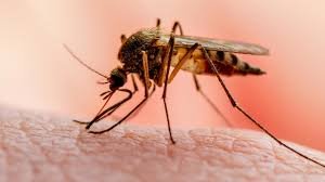plateau-malaria-prevention-children
