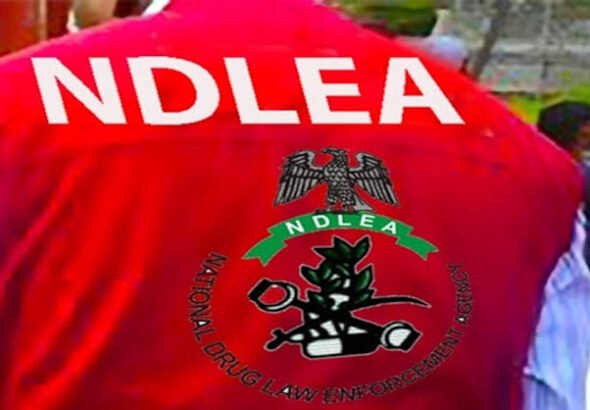 NDLEA operatives displaying drugs recovered from concealed water purifier machines.