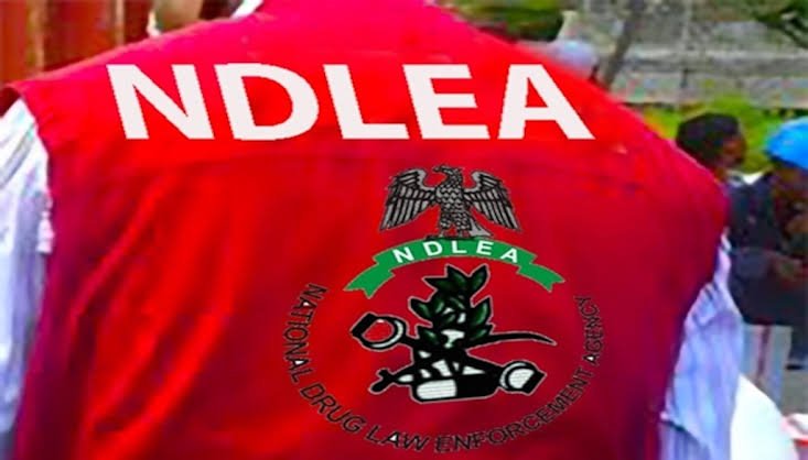 NDLEA operatives displaying drugs recovered from concealed water purifier machines.