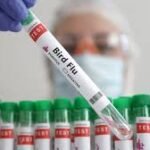 Australia Detects H5 Bird Flu for First Time