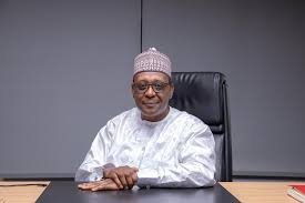 Coordinating Minister of Health and Social Welfare, Prof. Muhammad Ali Pate