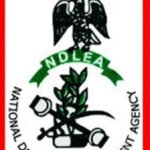 NDLEA operatives display seized drugs during a nationwide crackdown.