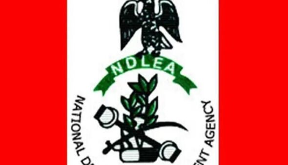 NDLEA operatives display seized drugs during a nationwide crackdown.