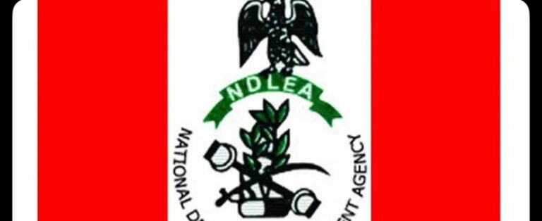 NDLEA operatives display seized drugs during a nationwide crackdown.