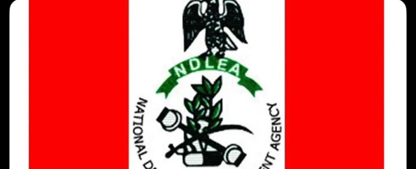 NDLEA operatives display seized drugs during a nationwide crackdown.