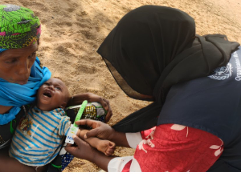 Health workers screening children for malnutrition in Adamawa State.