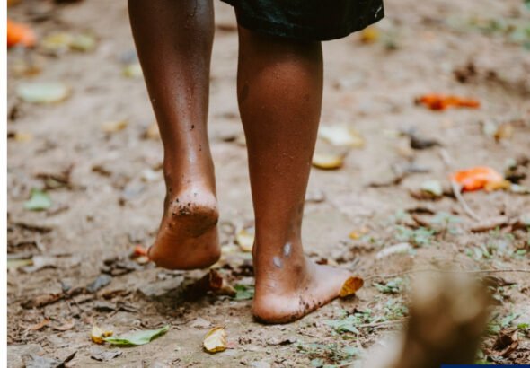 WHO Warns Rising Fungal Diseases and Drug Resistance Threaten Millions