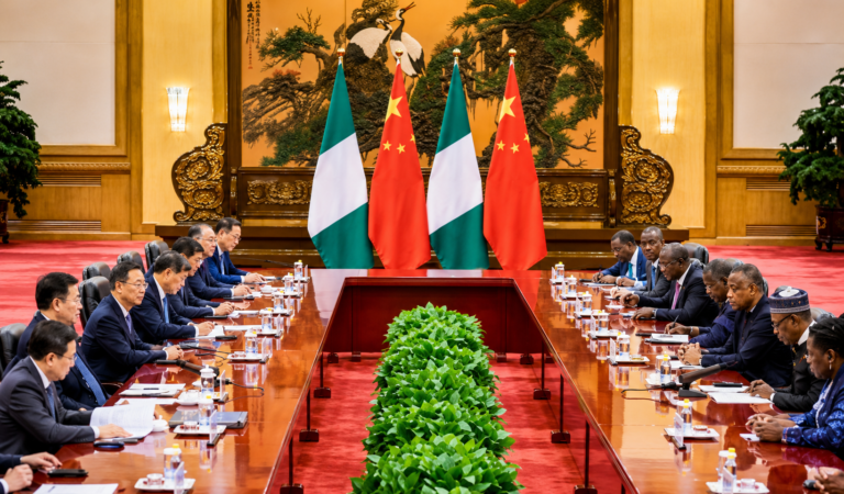 Nigeria Turns to China to Advance Traditional Medicine Research