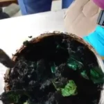NDLEA officers display tramadol pills concealed inside black soap containers intercepted in Lagos.