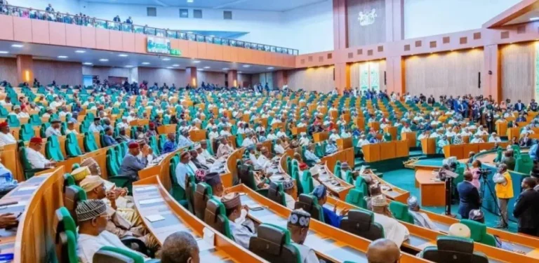 Members of Nigeria's House of Representatives during plenary on food safety.