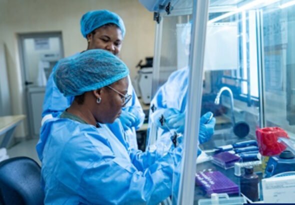 A laboratory scientist prepares Ebola diagnostic samples following WHO approval of the first Bundibugyo Ebola molecular test.