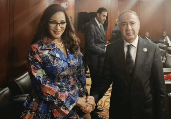 Nigeria's Foreign Affairs Minister Bianca Odumegwu Ojukwu meets Libya's Acting Foreign Minister Taher Elbaour during bilateral talks.