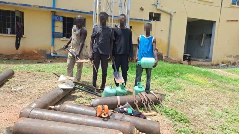 Seven suspected pipeline vandals have been arrested in Adamaw
