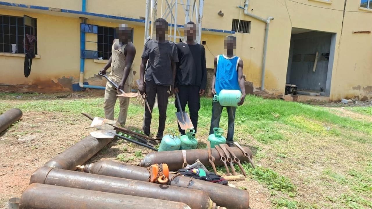 Seven suspected pipeline vandals have been arrested in Adamaw