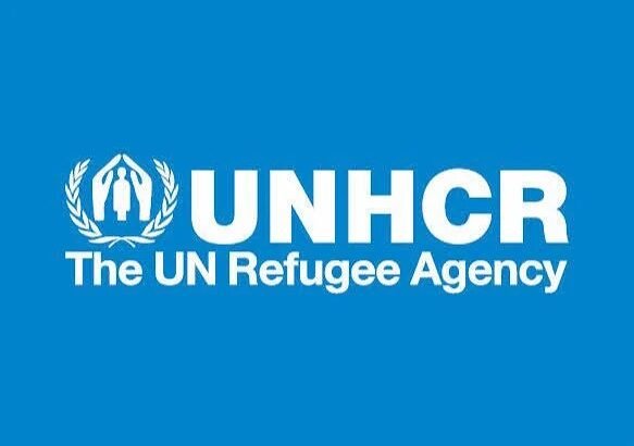 Displaced families receive humanitarian assistance in the Lake Chad Basin amid worsening insecurity.