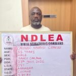 NDLEA operatives display cocaine, Loud, tramadol and other illicit drugs seized during coordinated operations in Lagos.