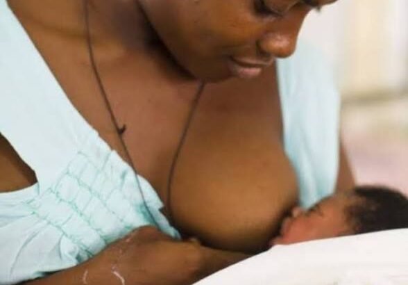 Health advocates in Ekiti and Anambra have urged families and health workers to support exclusive breastfeeding to improve infant health and development.