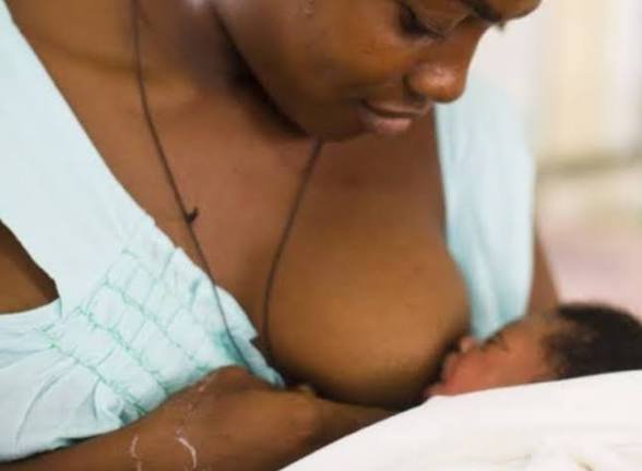 Health advocates in Ekiti and Anambra have urged families and health workers to support exclusive breastfeeding to improve infant health and development.