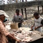 Lagos Plans to Turn Abattoir Waste into Biogas and Organic Fertiliser