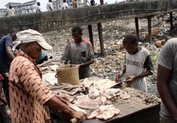 Lagos Plans to Turn Abattoir Waste into Biogas and Organic Fertiliser