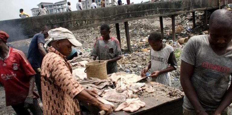 Lagos Plans to Turn Abattoir Waste into Biogas and Organic Fertiliser