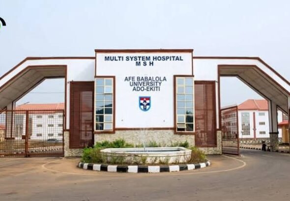 African researchers at the ISN-ABUAD Advanced School on stroke and neurochemistry