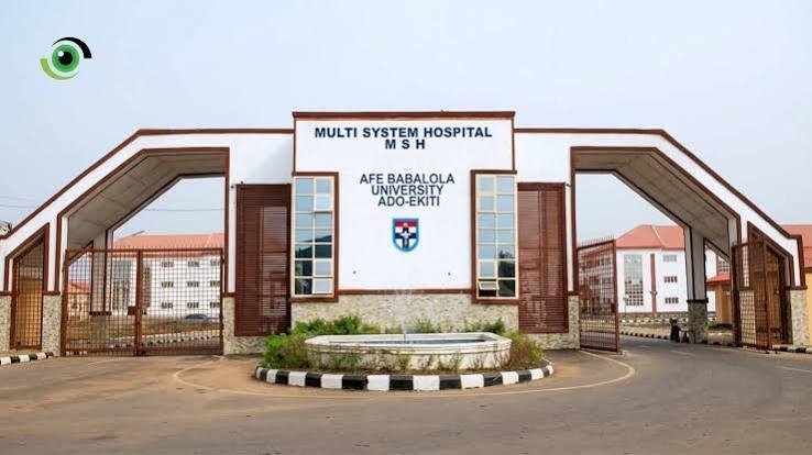 African researchers at the ISN-ABUAD Advanced School on stroke and neurochemistry