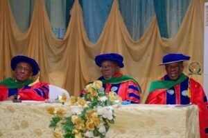 Health experts during the Academy of Medical Sciences Biennial Presidential Colloquium.