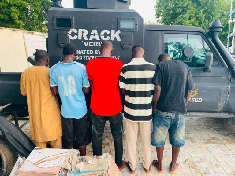 Police Bust Suspected Syndicate Selling Meat From Dead Cattle, Arrest Five in Maiduguri