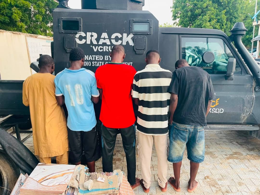 Police Bust Suspected Syndicate Selling Meat From Dead Cattle, Arrest Five in Maiduguri