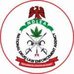 NDLEA Destroys N301bn Worth of Seized Illicit Drugs in Lagos