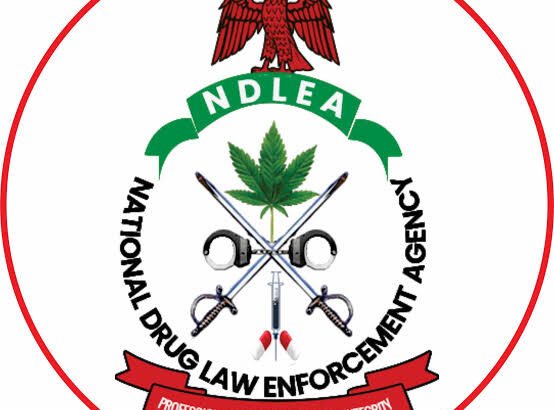 NDLEA Destroys N301bn Worth of Seized Illicit Drugs in Lagos
