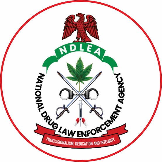 NDLEA Destroys N301bn Worth of Seized Illicit Drugs in Lagos