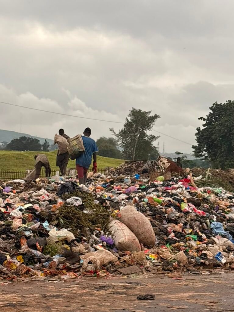 Large roadside refuse dump beside the Nyanya–Keffi Expressway in Karu, Abuja