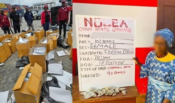 NDLEA operatives display illicit drugs seized during nationwide anti-narcotics operations.