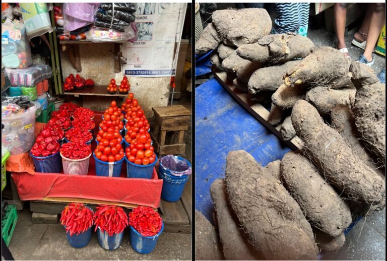 Harvest, But No Relief: Why Food Prices Are Still Hurting Nigerian Families