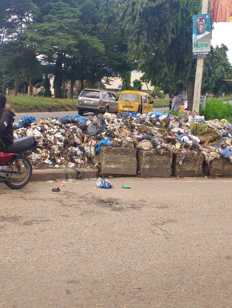 Refuse heap accumulated at Odo-Eran in Lagos despite efforts to control indiscriminate waste dumping.