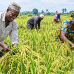 GIZ officials discuss agricultural finance and rural development in Nigeria